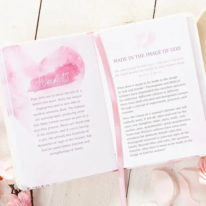 I love You Already - Devotional for Expecting Mamas
