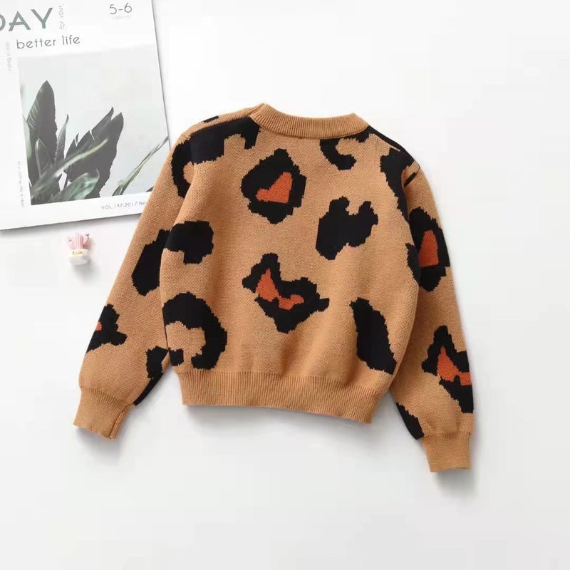 Chunky Leopard Sweater Preorder