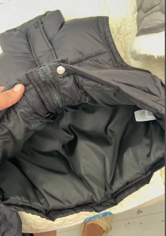 Neutral Puffer Vest Preorder