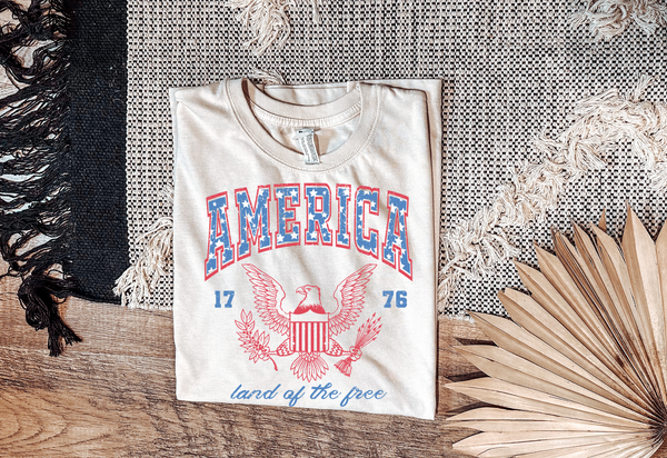 America Graphic T Adult